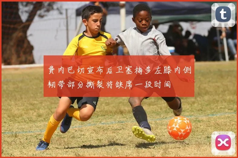 费内巴切宣布后卫塞梅多左膝内侧韧带部分撕裂将缺席一段时间
