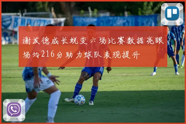 谢泼德成长蜕变六场比赛数据亮眼场均216分助力球队表现提升