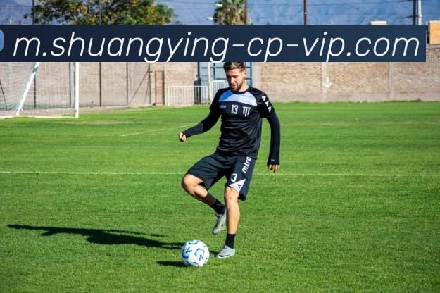 双赢彩票服务体系